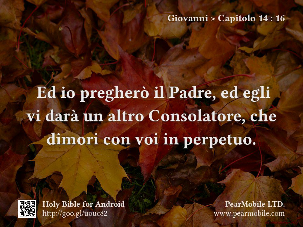 Giovanni, Capitolo 14:16